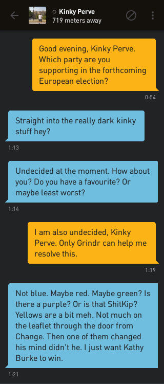 Me: Good evening, Kinky Perve. Which party are you supporting in the forthcoming European election?
Kinky Perve: Straight into the really dark kinky stuff hey?
Kinky Perve: Undecided at the moment. How about you? Do you have a favourite? Or maybe least worst?
Me: I am also undecided, Kinky Perve. Only Grindr can help me resolve this.
Kinky Perve: Not blue. Maybe red. Maybe green? Is this a purple? Or is that ShitKip? Yellows are a bit meh. Not much on the leaflet through the door from Change. Then one of them changed his mind didn't he. I just want Kathy Burke to win.