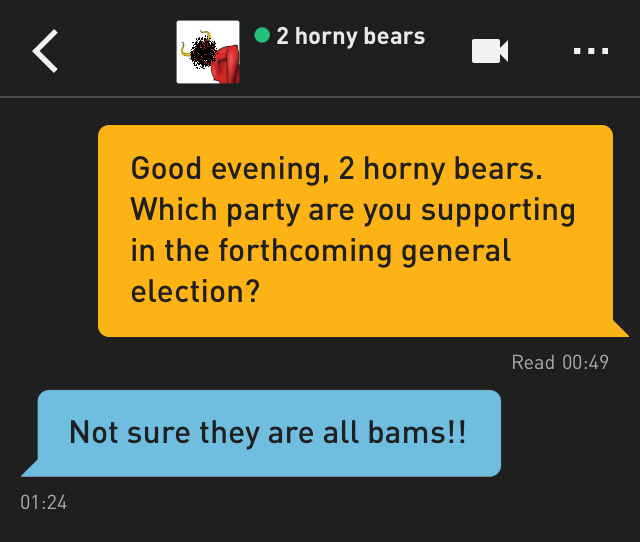 Me: Good evening, 2 horny bears. Which party are you supporting in the forthcoming general election?
2 horny bears: Not sure they are all bams!!