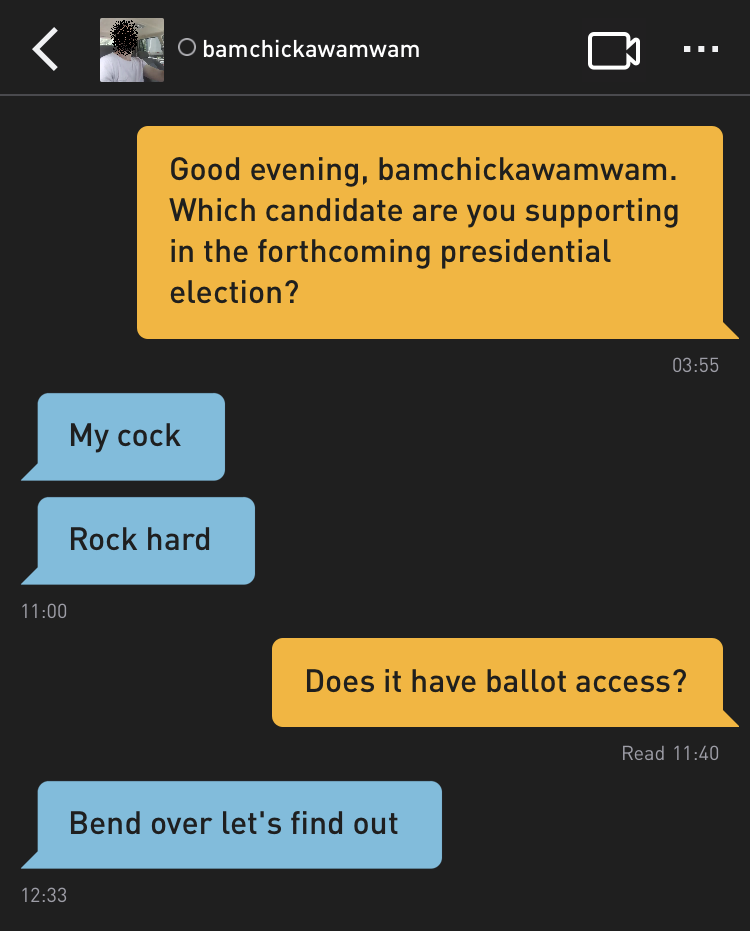 Me: Good evening, bamchickawamwam. Which candidate are you supporting in the forthcoming presidential election?
bamchickawamwam: My cock
bamchickawamwam: Rock hard
Me: Does it have ballot access?
bamchickawamwam: Bend over let's find out
