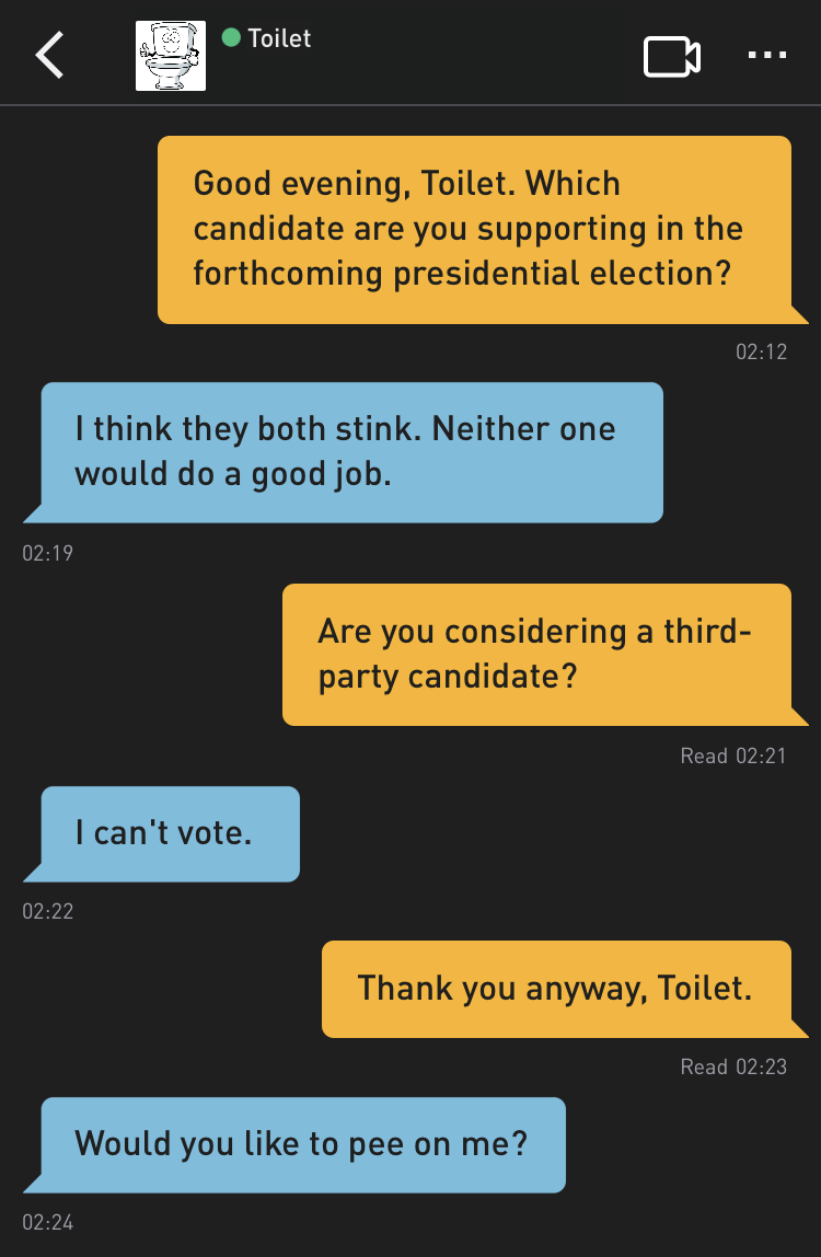 Me: Good evening, Toilet. Which candidate are you supporting in the forthcoming presidential election?
Toilet: I think they both stink. Neither one would do a good job.
Me: Are you considering a third-party candidate?
Toilet: I can't vote.
Me: Thank you anyway, Toilet.
Toilet: Would you like to pee on me?