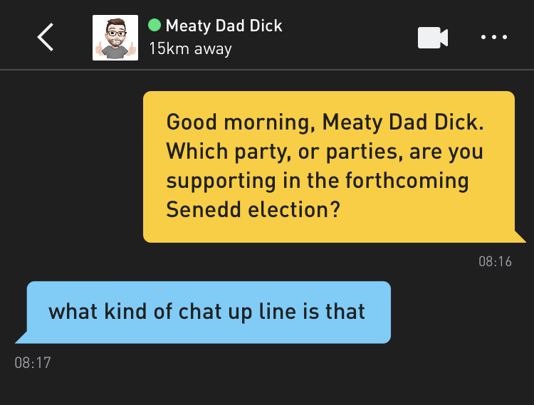 Me: Good morning, Meaty Dad Dick. Which party, or parties, are you supporting in the forthcoming Senedd election? Meaty Dad Dick: what kind of chat up line is that