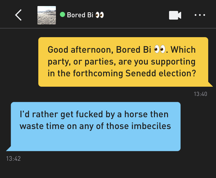 Me: Good afternoon, Bored Bi ?. Which party, or parties, are you supporting in the forthcoming Senedd election? Bored Bi ?: I'd rather get fucked by a horse then waste time on any of those imbeciles