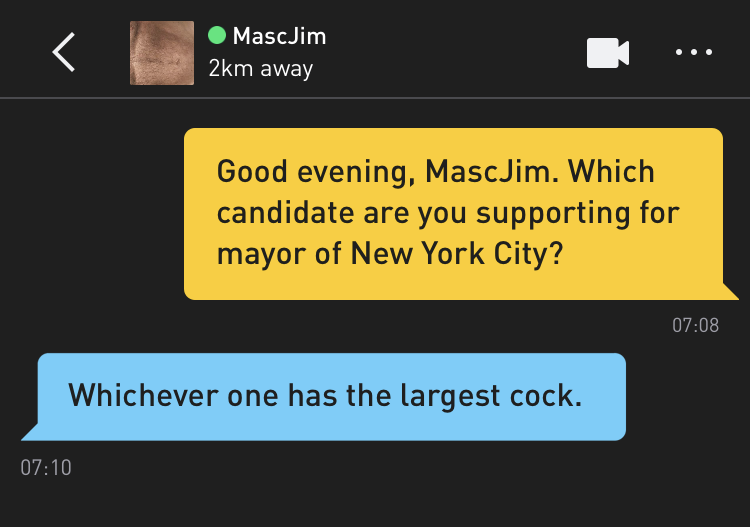 Me: Good evening, MascJim. Which candidate are you supporting for mayor of New York City? MascJim: Whichever one has the largest cock.