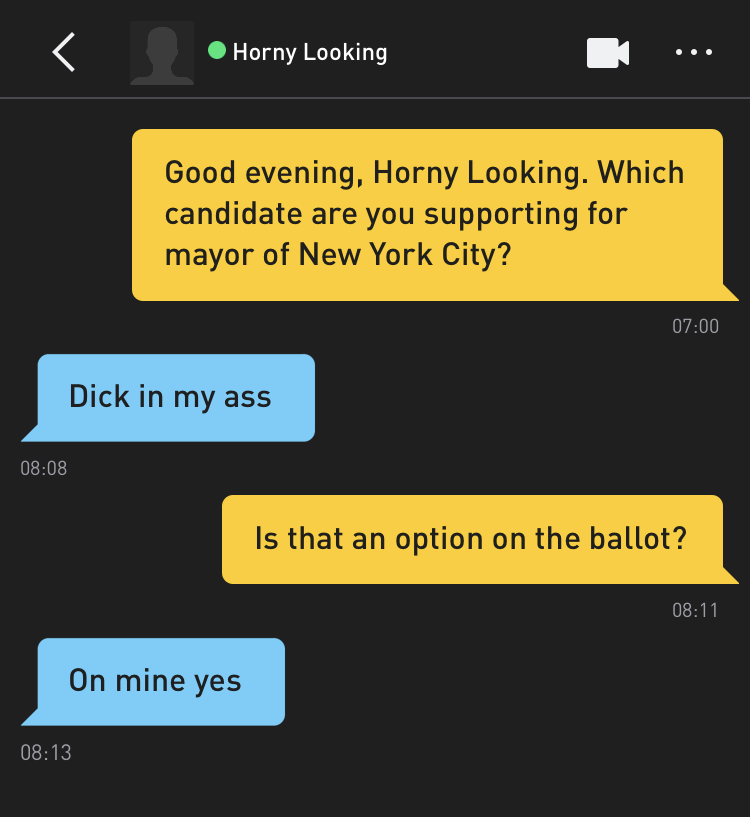 Me: Good evening, Horny Looking. Which candidate are you supporting for mayor of New York City? Horny Looking: Dick in my ass Me: Is that an option on the ballot? Horny Looking: On mine yes