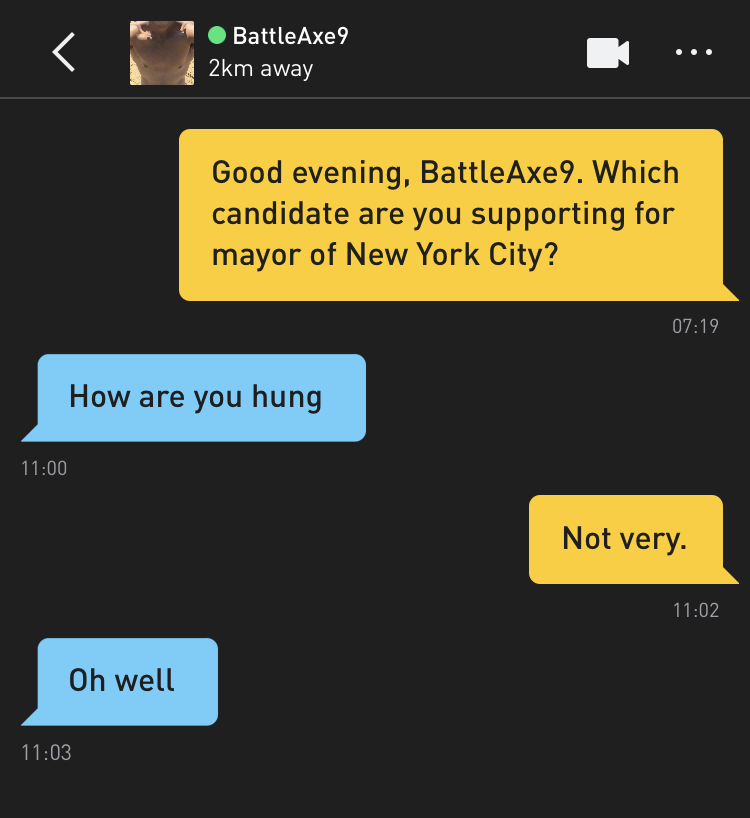 Me: Good evening, BattleAxe9. Which candidate are you supporting for mayor of New York City?<br /> BattleAxe9: How are you hung<br /> Me: Not very.<br /> BattleAxe9: Oh well