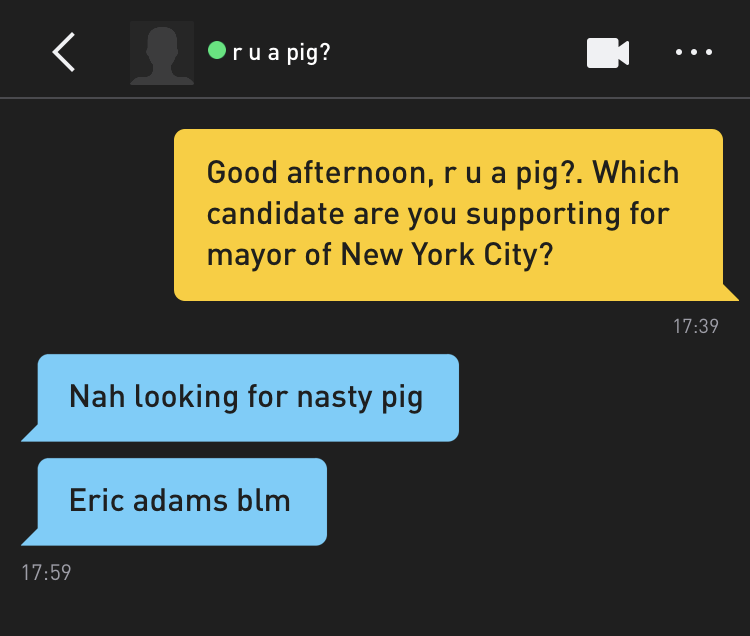 Me: Good afternoon, r u a pig?. Which candidate are you supporting for mayor of New York City? r u a pig?: Nah looking for nasty big r u a pig?: Eric adams blm